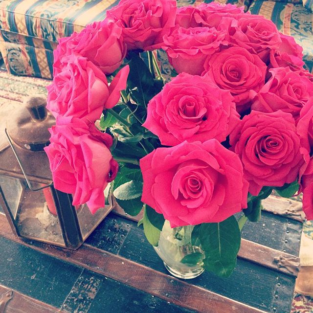 12716469_1507923286184103_243806586_n