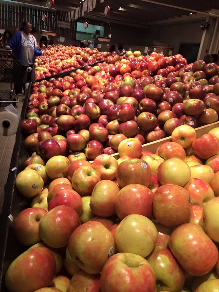 12115959_10153808332198149_2359343014526466609_n